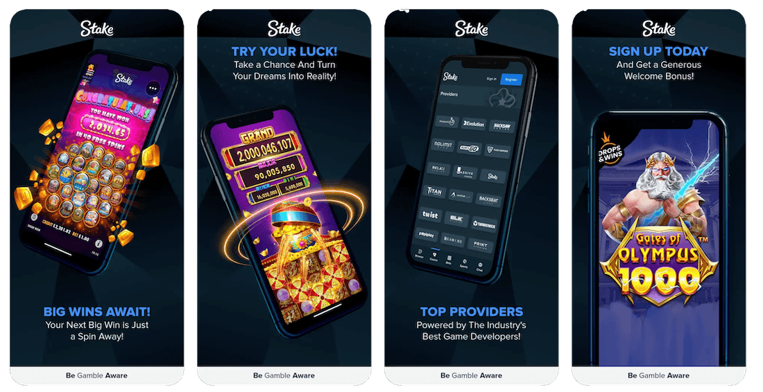 stake casino app